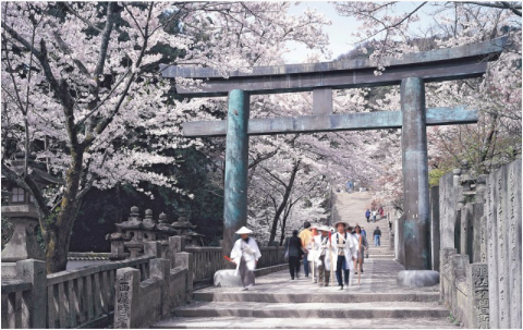 naoshimatour_picture