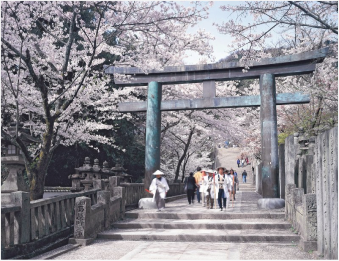 main gate with cherry blossom